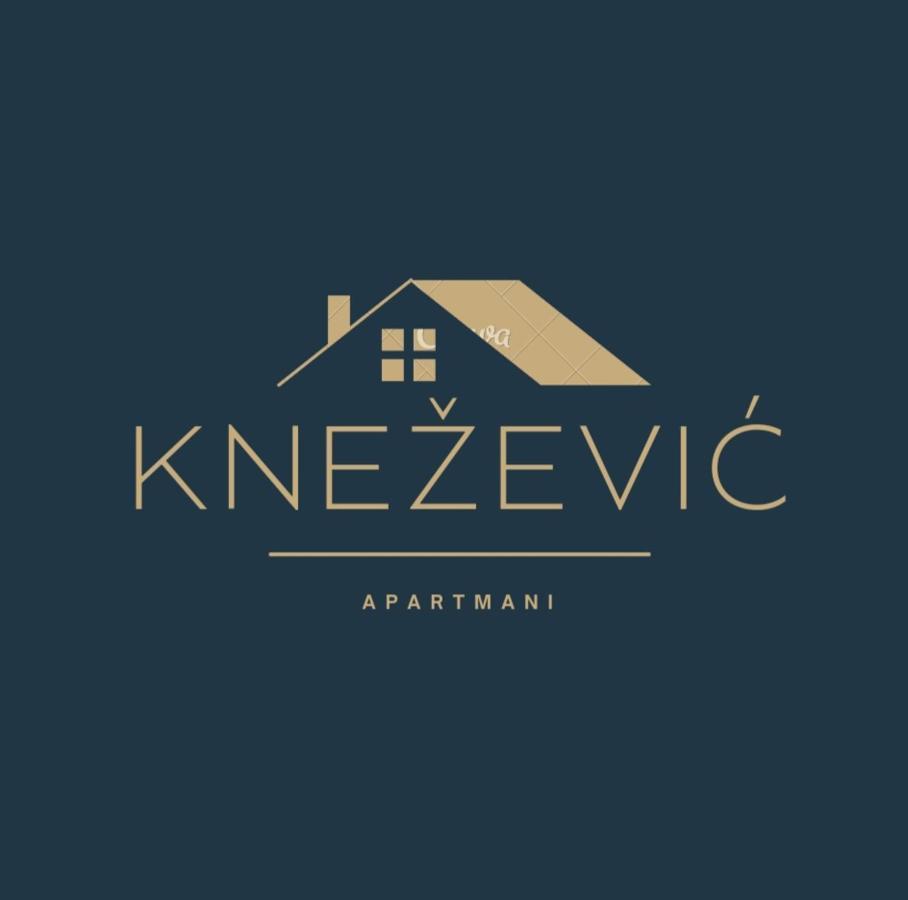 Knezevic Apartman Podgorica Exterior foto